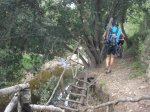 Mallorca 202.jpg