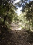 Mallorca 210.jpg