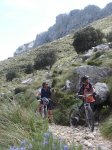 Mallorca 211.jpg