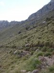 Mallorca 216.jpg