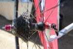 seaotter-cx09img_9009[1].jpg