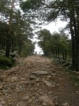 DSCN9971.jpg