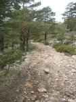 DSCN9972.jpg