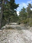 DSCN9997.jpg