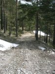 DSCN9998.jpg