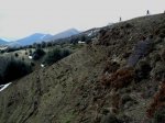 DSC00110.jpg