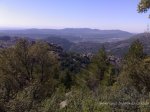 22042009529.jpg