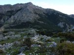 DSC03295.jpg