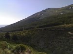 29042009465.jpg