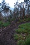 DSC01071.JPG
