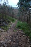 DSC01076.JPG