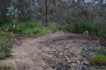DSC01078.JPG