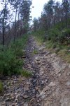 DSC01079.JPG