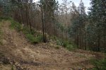 DSC01082.JPG