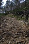 DSC01084.JPG