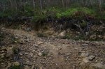 DSC01091.JPG