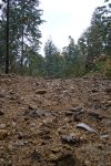 DSC01093.JPG
