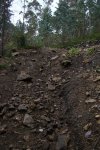 DSC01099.JPG
