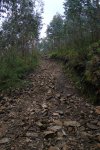 DSC01101.JPG