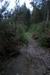 DSC01107.JPG