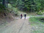 29042009482.jpg