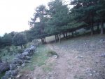 Foto7.JPG