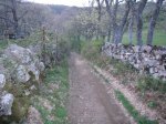 Foto11.JPG