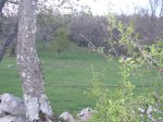 Foto12.JPG