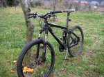 bici.jpg
