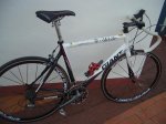 NiÃ±o, Alba, Giant TCR 024.jpg
