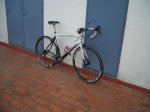NiÃ±o, Alba, Giant TCR 027.jpg