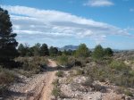 DSCF2571.JPG
