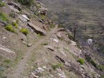 Detalle sendero 2.jpg