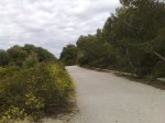 01052009005.jpg