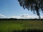 P5010004.jpg