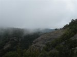 P5010576 (Medium).JPG