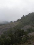 P5010574 (Medium).JPG