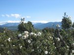 IMG_3692.jpg