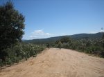 IMG_3702.jpg