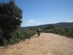 IMG_3704.jpg