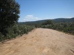 IMG_3706.jpg