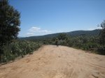 IMG_3708.jpg