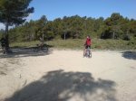 DSC00734.jpg