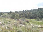 DSC00748.jpg