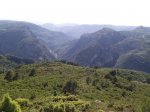 eixida ruta de les cireres, llucea, alcora 047.jpg