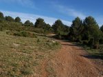 eixida ruta de les cireres, llucea, alcora 056.jpg