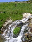 DSCN1386.JPG