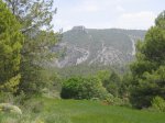 mini-IMG_4766.JPG