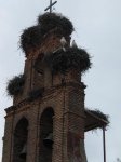 CigÃ¼eÃ±a cerca de LeÃ³n (3).jpg