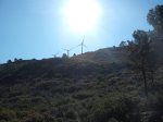 DSCF2634.JPG
